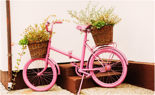 Pink bicycle with flower baskets